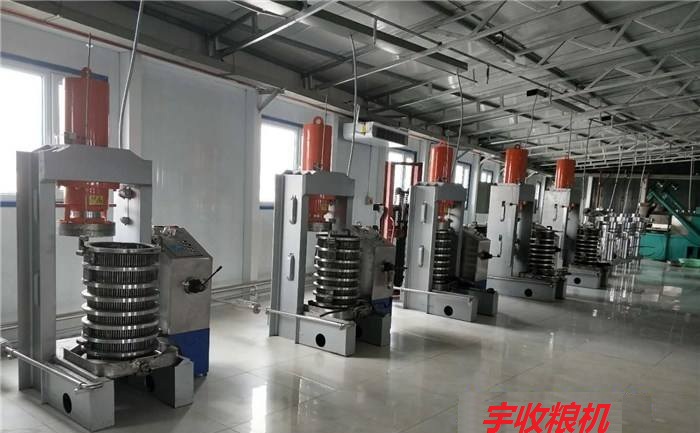 液壓榨油機生產線.jpg